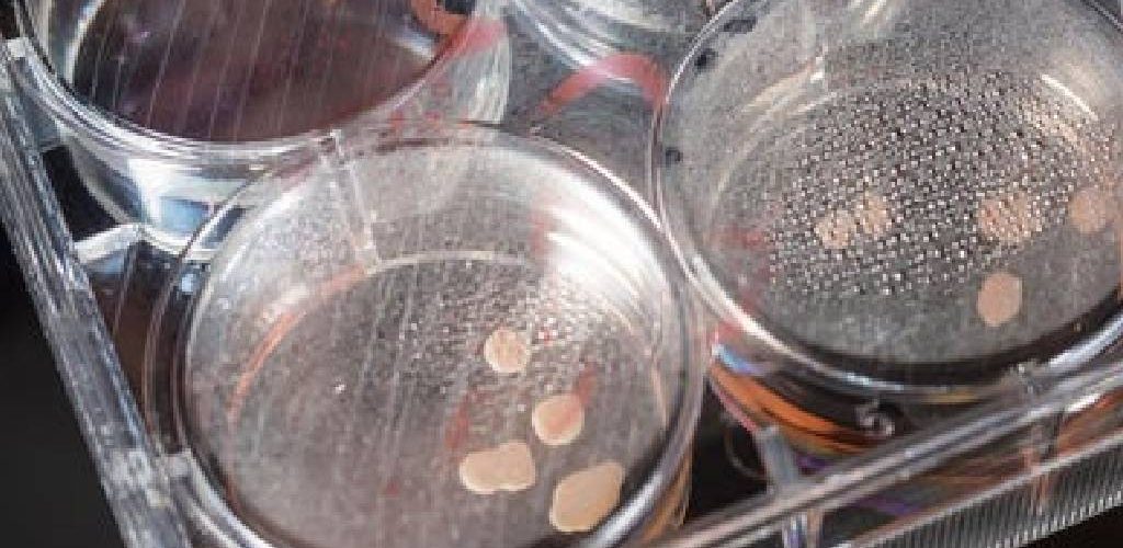 ویژگی‌های فیزیکی و شیمیایی اکلیل صنعتی