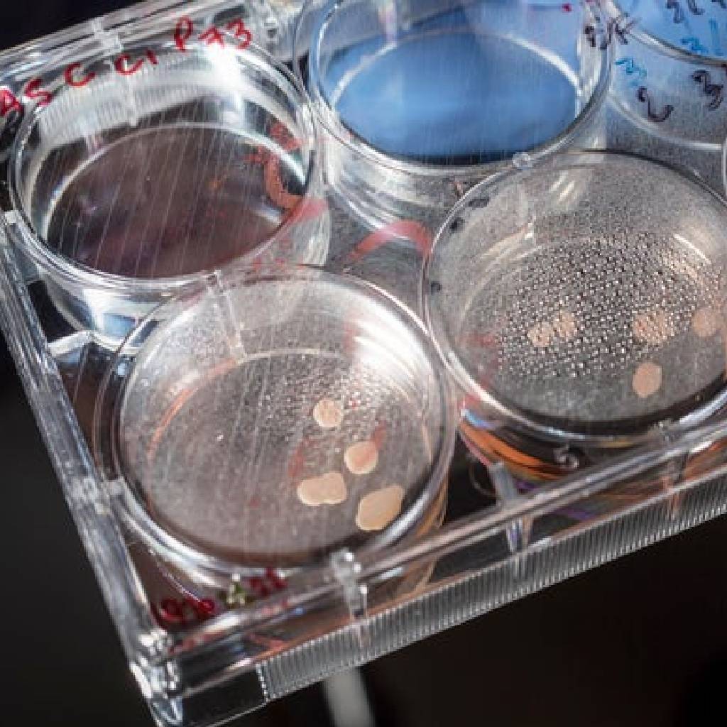 ویژگی‌های فیزیکی و شیمیایی اکلیل صنعتی